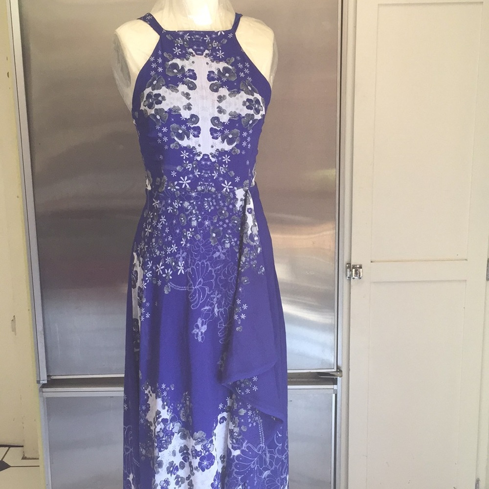 Long Blue & White Eva Franco dress